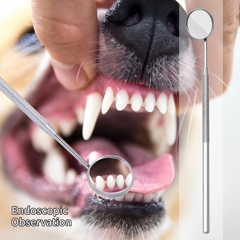 6 pezzi di dispositivo per la  - Teeth Whitening Mouthwash recensione e prezzo