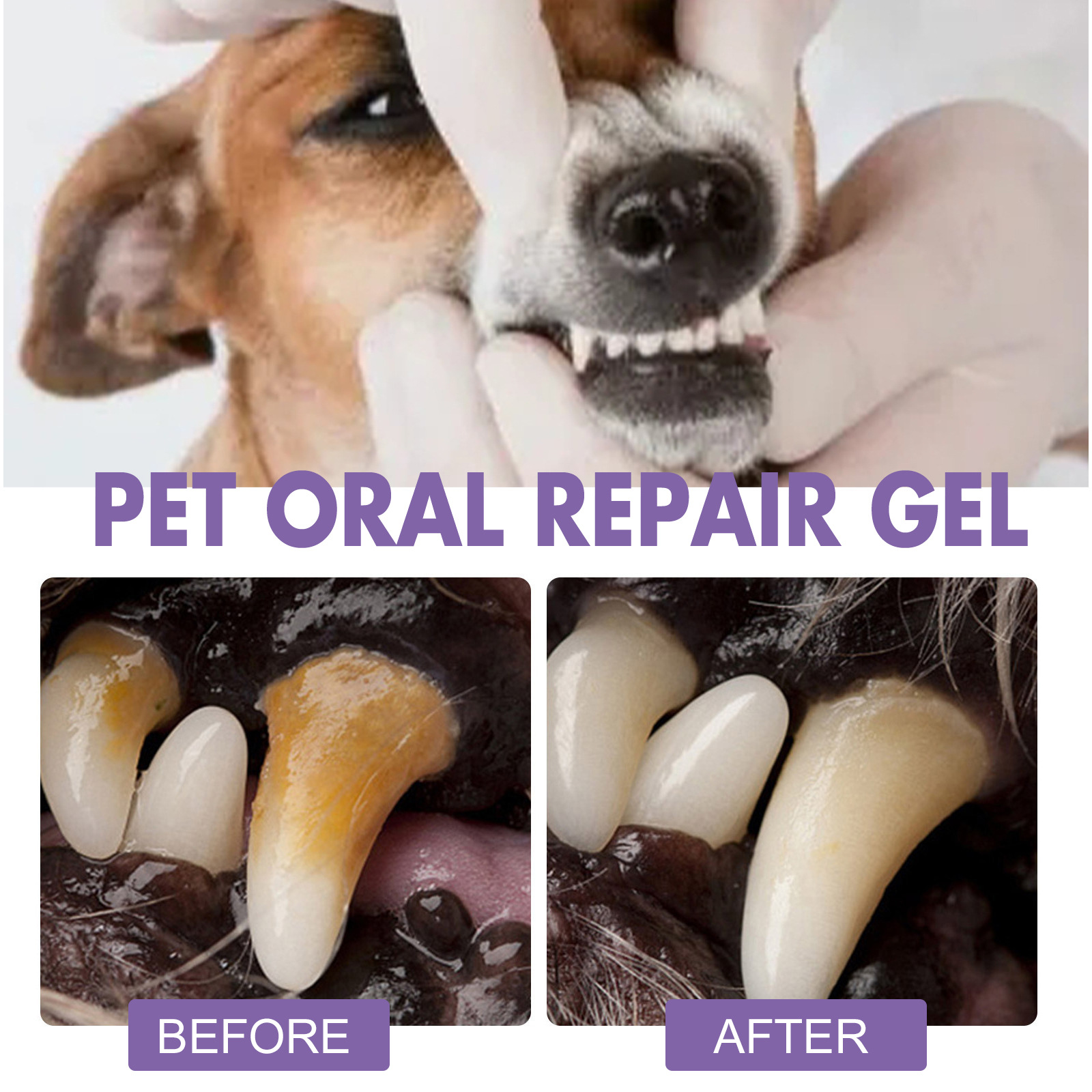 Gel per la riparazione orale d - Teeth Whitening App recensione e prezzo